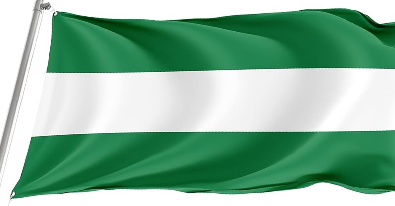 Santa Cruz County, California Flag -3x5 ft -100% polyester-2 Metal Grommets-One sided /Two sided
