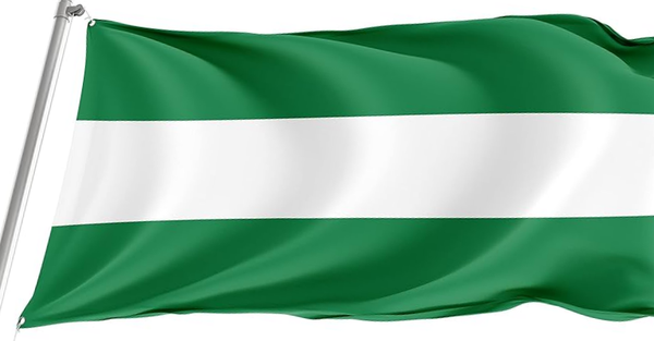 Santa Cruz County, California Flag -3x5 ft -100% polyester-2 Metal Grommets-One sided /Two sided