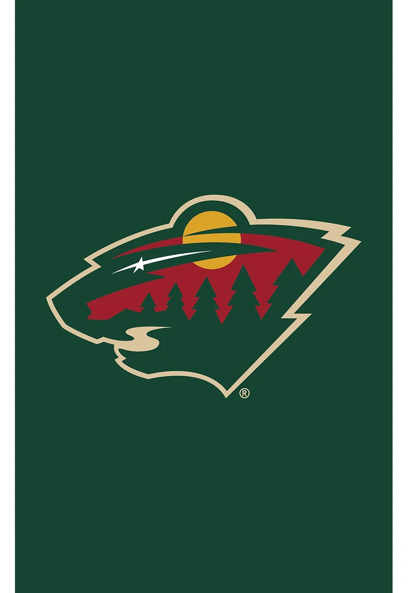 Minnesota Wild Flag-NHL Mn Wild Flag-3x5FT Banner-100% polyester