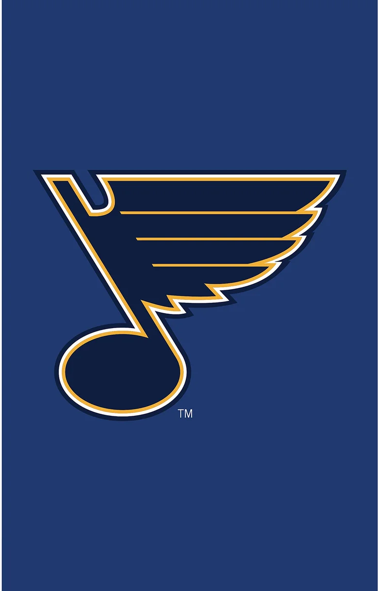 NHL St. Louis Blues Flag-3x5FT Banner-100% polyester