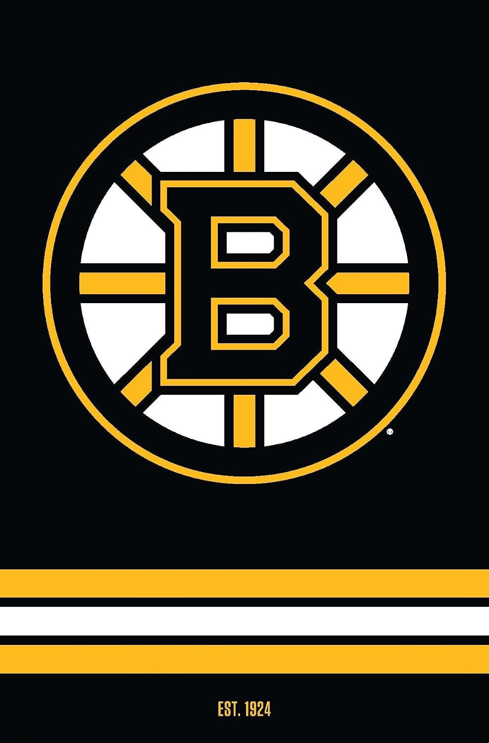 Boston Bruins Flag-3x5Ft  NHL Bruins Banner-100% polyester-2 Metal Grommets