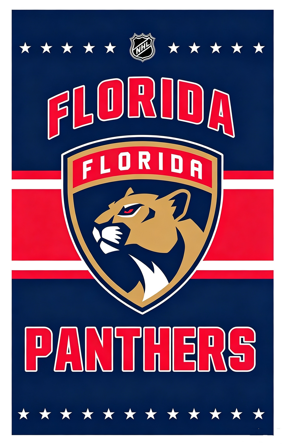 NHL Florida Panthers Flags-3x5FT Banner-100% polyester
