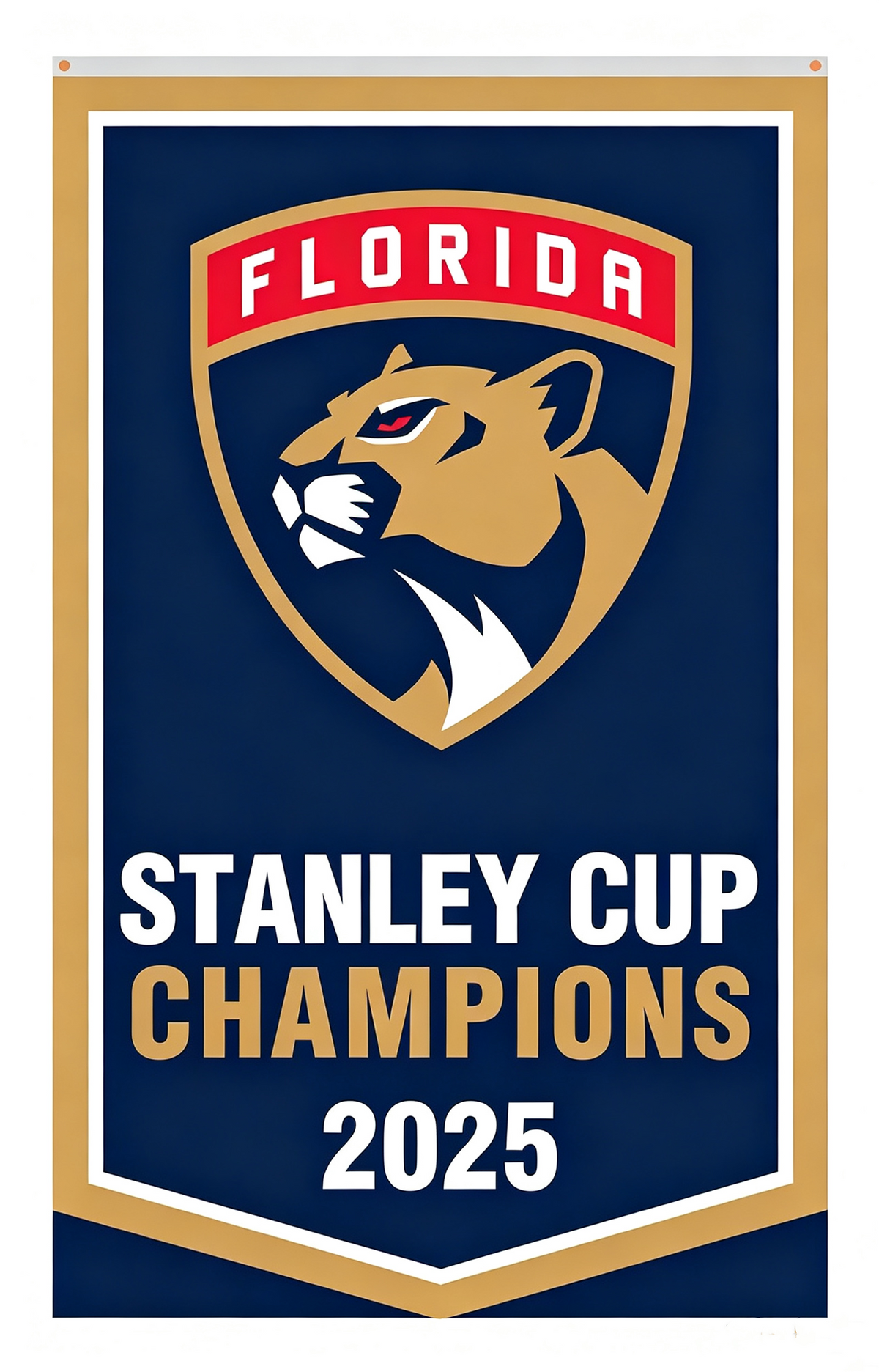 NHL Florida Panthers Flags-3x5FT Banner-100% polyester