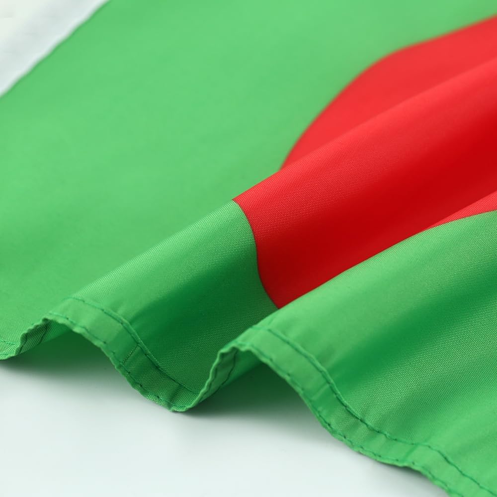 Lebanese flag Car Window Flag of Bangladesh 11X18 Inch(28x46cm) 100% Polyester, Strong White Flagpole