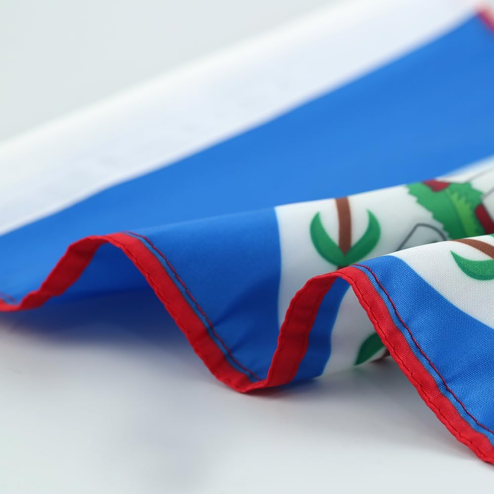 Car Window Flag of Belize 11X18 Inch(28x46cm) 100% Polyester, Strong White Flagpole