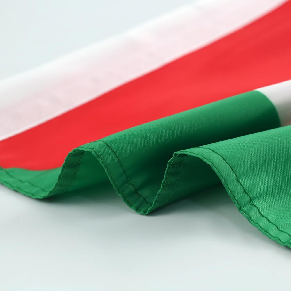 Palestinian flag Car Window Flag of Palestinian 11X18 Inch(28x46cm) 100% Polyester, Strong White Flagpole