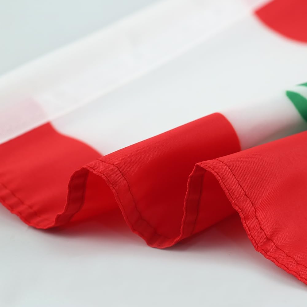 Lebanese flag Car Window Flag of Lebanon 11X18 Inch(28x46cm) 100% Polyester, Strong White Flagpole