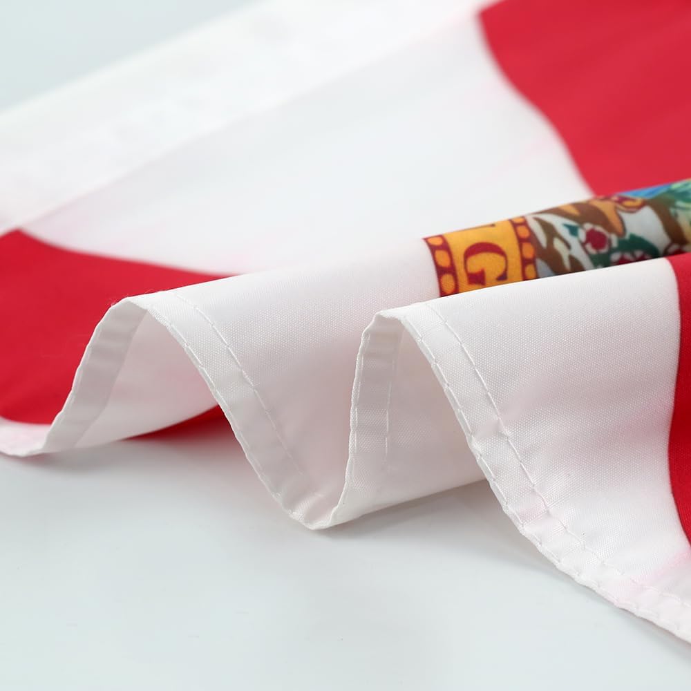 Florida State Flag Car Window Flag of Florida 11X18 Inch(28x46cm) 100% Polyester, Strong White Flagpole