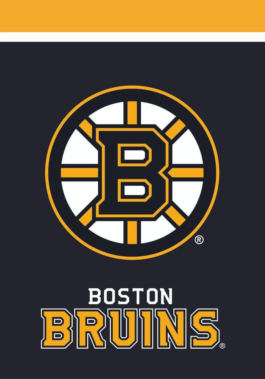Boston Bruins Flag-3x5Ft  NHL Bruins Banner-100% polyester-2 Metal Grommets