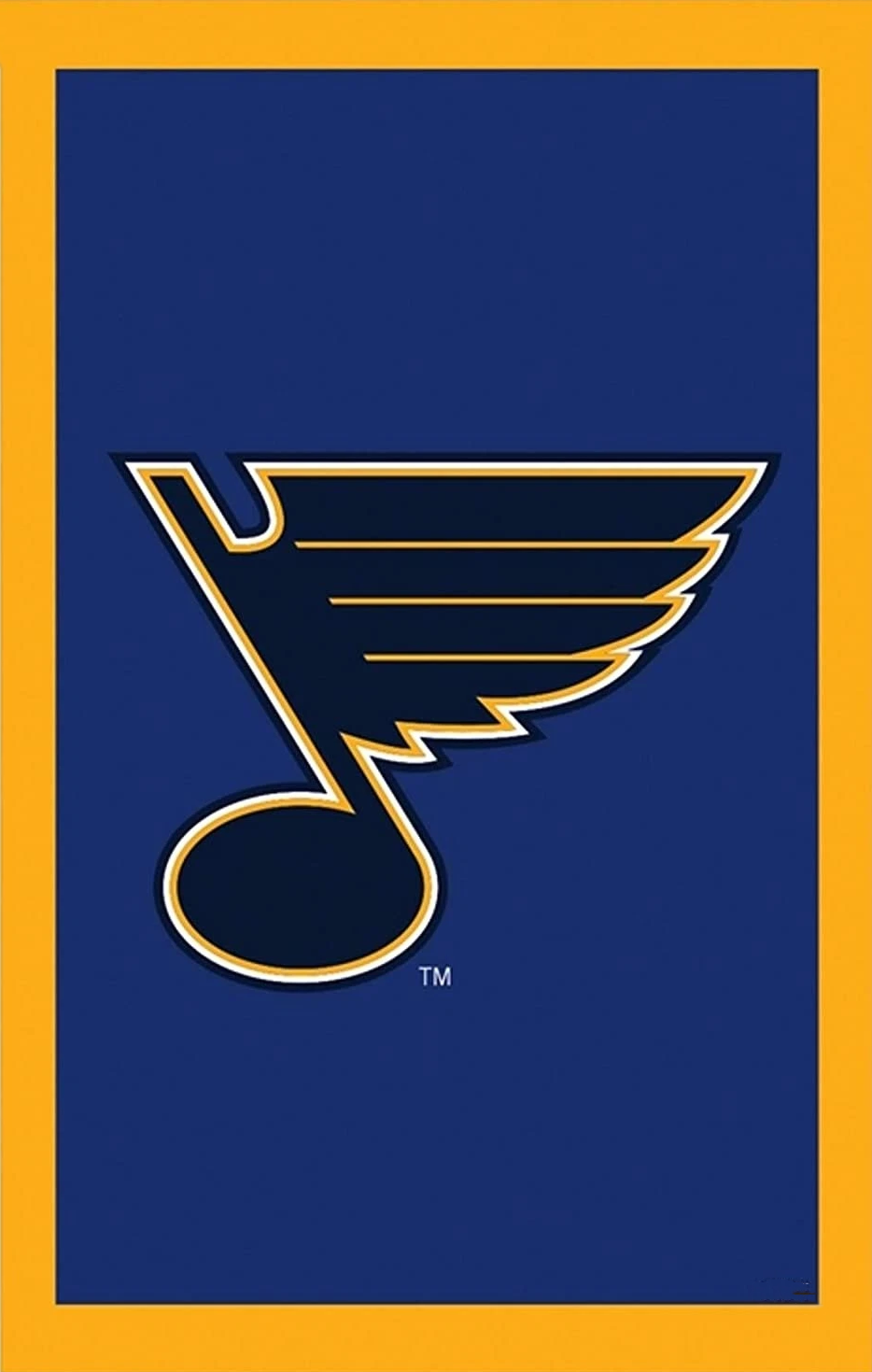 NHL St. Louis Blues Flag-3x5FT St. Louis Blues Banner-100% polyester