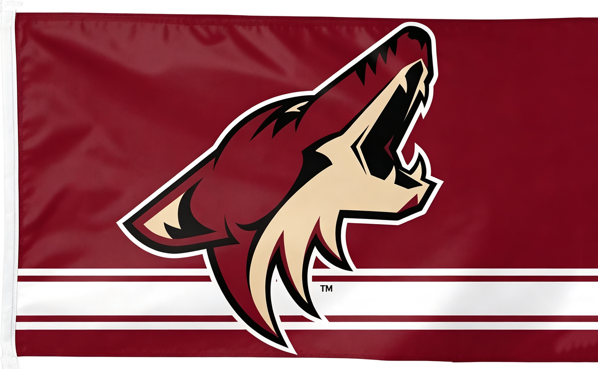 Arizona Coyotes Flag-3x5 FT-100% polyester