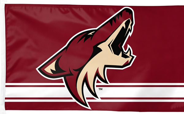 Arizona Coyotes Flag-3x5 FT-100% polyester