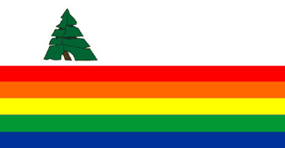 Santa Cruz County, California Flag -3x5 ft -100% polyester-2 Metal Grommets-One sided /Two sided