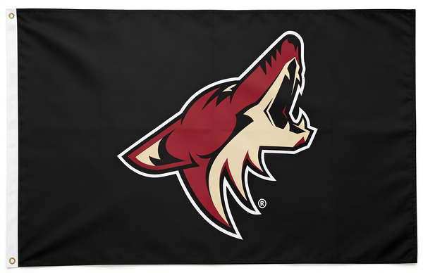 Arizona Coyotes Flag-3x5 FT-100% polyester