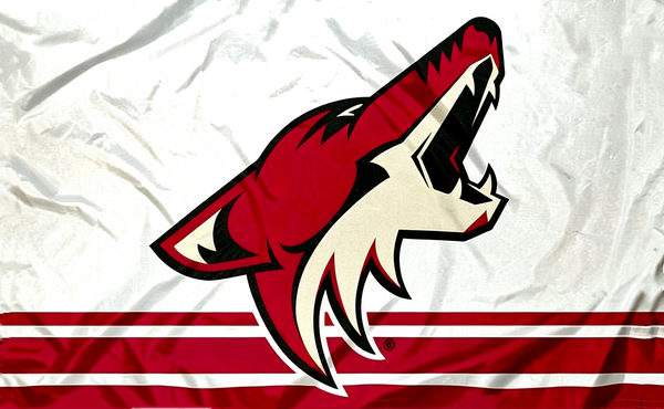 Arizona Coyotes Flag-3x5 FT-100% polyester