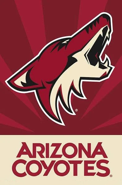 Arizona Coyotes Flag-3x5 FT-100% polyester