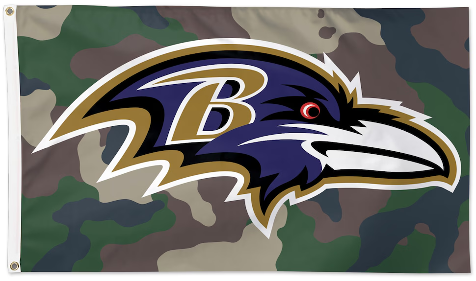 Baltimore Ravens Flag-3x5FT NFL Banner-100% polyester-gloves-champions-super bowl