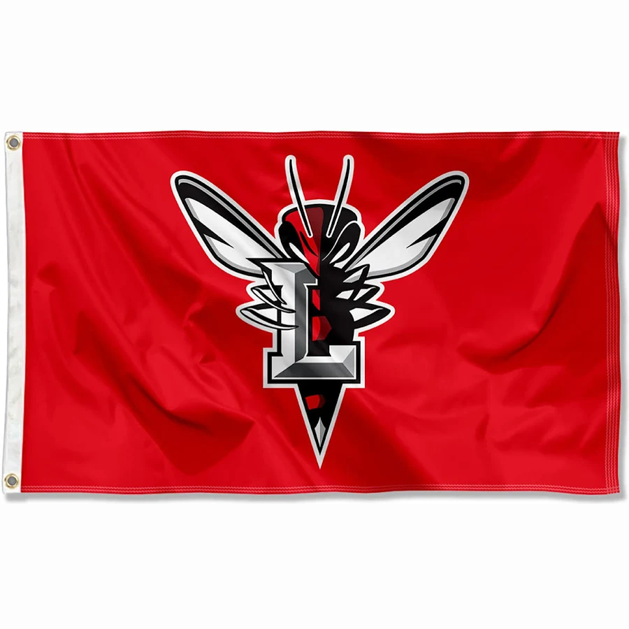 Charlotte Hornets Flag-NBA 3x5 FT Charlotte Hornets Basketball Banner-100% polyester-One sided / double sided