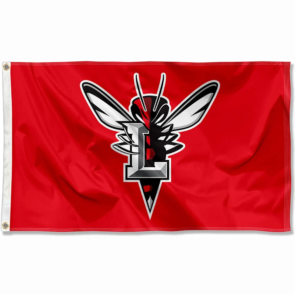 Charlotte Hornets Flag-NBA 3x5 FT Charlotte Hornets Basketball Banner-100% polyester-One sided / double sided