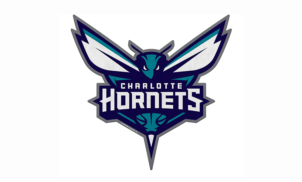 Charlotte Hornets Flag-NBA 3x5 FT Charlotte Hornets Basketball Banner-100% polyester-One sided / double sided