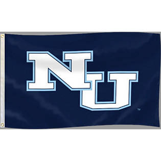Northwood Timberwolves University Flag -NCAA 3x5 ft NU College  Banner-100% polyester-2 Metal Grommets-One sided /Two sided
