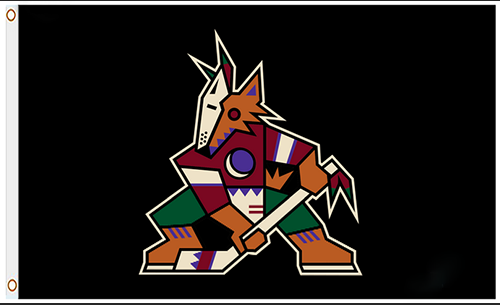 Arizona Coyotes Flag-3x5 FT-100% polyester