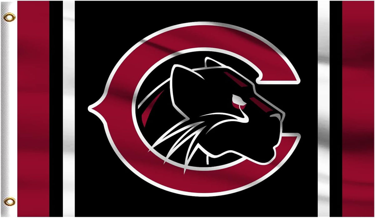 Chapman University Flag -3X5 FT Panthers Banner-100% polyester
