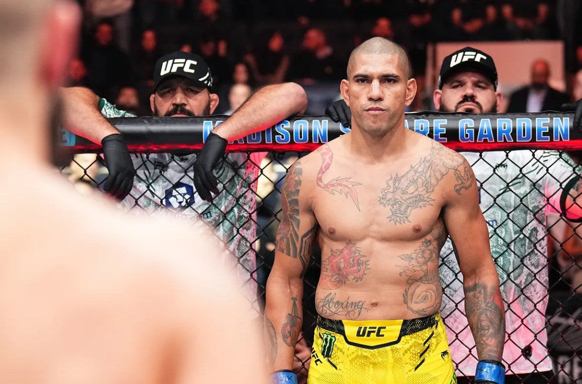 Custom UFC Flag-3x5 FT Banner-100% polyester-4 Metal Grommets