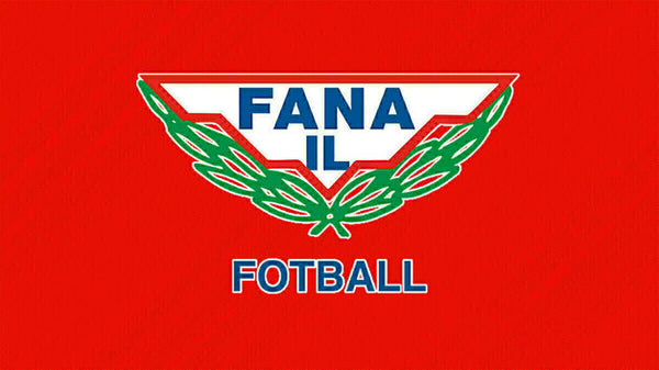 fana il fotball flag -3x5 ft FANA IL football banner