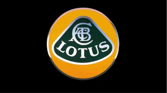 Vertical Lotus Flag -3x5ft Banner-2 Metal Grommets on Top side
