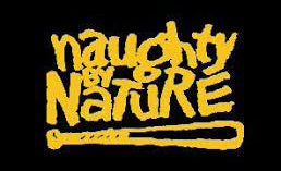 Naughty by nature Flag -3x5 FT Banner-100% polyester-2 Metal Grommets