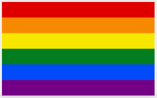 Rainbow Pride LGBT Flag - 3x5 FT Banner-100% polyester-2 Metal Grommets