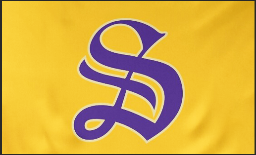Sewanee Flag -3x5 FT Banner-100% polyester-2 Metal Grommets-The University of the South Tapestry