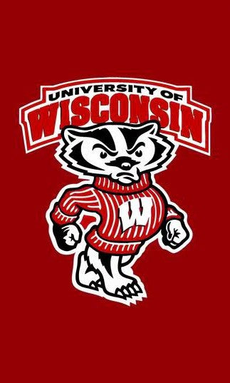 NCAA University of Wisconsin Banner Wisconsin Badgers Flag  3X5FT 100% polyester