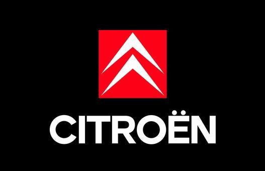 Citroen Flag-3x5 Banner-2 Metal Grommets-Black-White with car logo - flagsshop