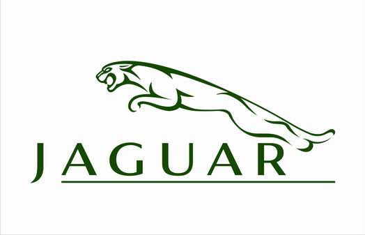 Jaguar Flag-3x5 FT-100% polyester Banner-Green-Black - flagsshop