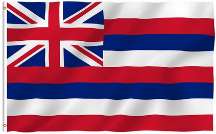 Hawaii State Flag-3x5 FT Banner-100% polyester-2 Metal Grommets - flagsshop