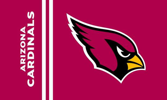 Arizona Cardinals garden flag, 30*45CM 280/m2 polyester,double sided printing - flagsshop