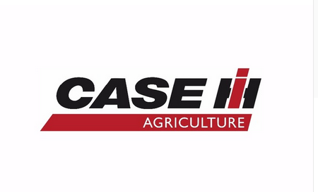 CASE Car Flag - flagsshop