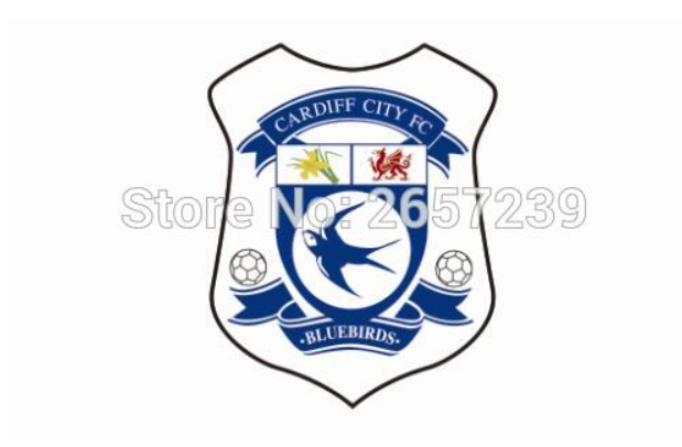 Cardiff City FC Wales Flag Welsh Dragon Banner-3x5 Australian New South Wales FT Banner-100% polyester-2 Metal Grommets - flagsshop