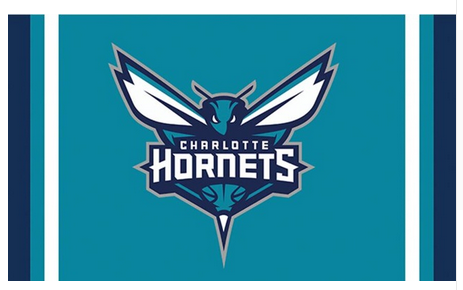 Charlotte Hornets Flag-3x5 Banner-100% polyester - flagsshop