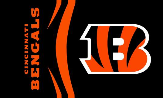 Cincinnati Bengals Flag-3x5 NFL Banner-100% polyester-super bowl - flagsshop