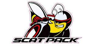 Dodge Scatpack Flag-3x5 FT Banner-100% polyester-2 Metal Grommets - flagsshop