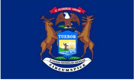 Michigan State Flag-3x5 Banner-100% polyester - flagsshop