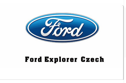 Ford Flag-3x5-Checkered Banner-for Saleen-Mustang-Shelby-Cobra-Cortina - flagsshop