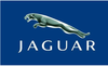 Custom Jaguar Flag-3x5 FT- horizontal banner with 4 grommets-Blue