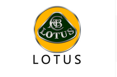 Lotus Flag-3x5 Checkered Lotus Banner-100% polyester-Green - flagsshop