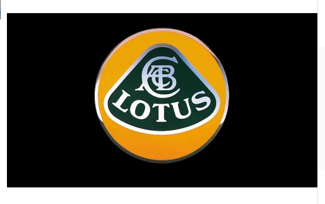 Lotus Flag-3x5 Checkered Lotus Banner-100% polyester-Green - flagsshop
