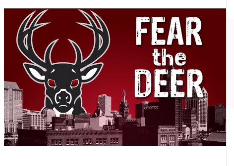 Milwaukee Bucks Flag-3x5 Banner-100% polyester - flagsshop