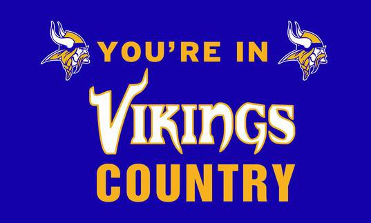 University of Minnesota Flag NCAA Big Ten Conference Flag hot sell goods 3X5FT 150X90CM Banner brass metal holes - flagsshop